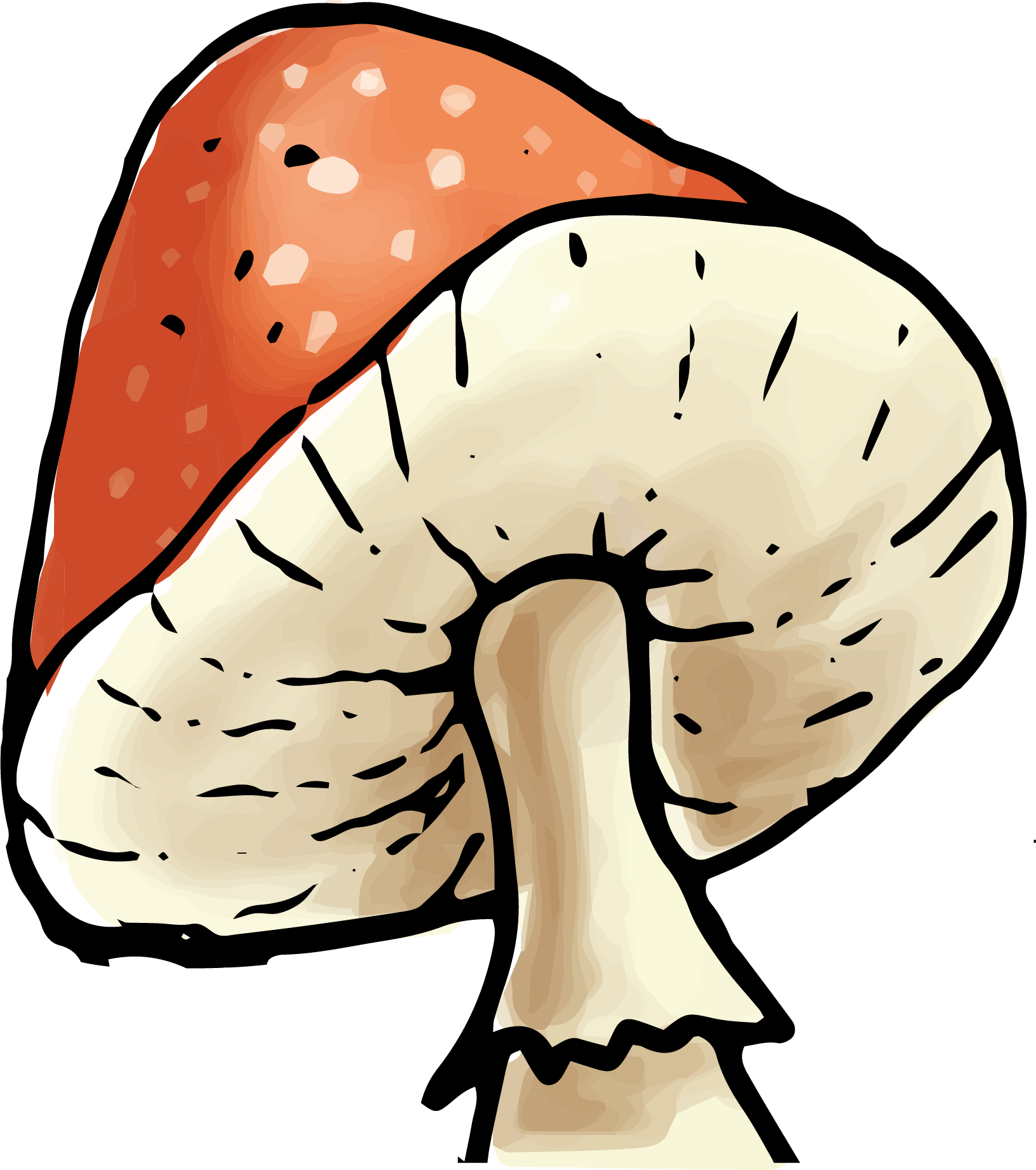 mushroom 02