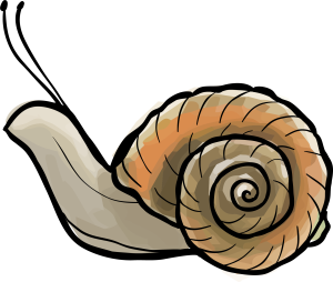 snail